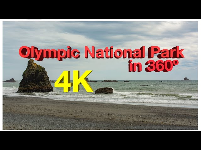 Olympic National Park 360: Ruby Beach