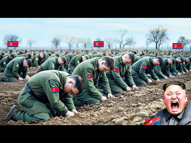 30 minutes ago! All North Korean commanders and ministers were forced to surrender.