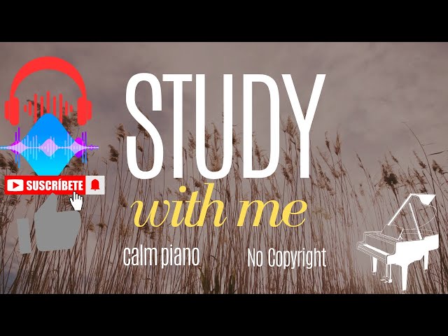 🎹 Relaxing Study Piano Music | Calm Background Music for Concentration 📚 | No Copyright