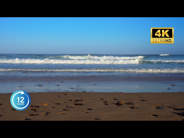 🌊ASMR Sleep Aid: Ocean Waves for Peaceful Nights, 4K Video