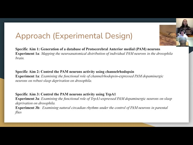 NE203 C6G4 Final Grant Proposal Presentation