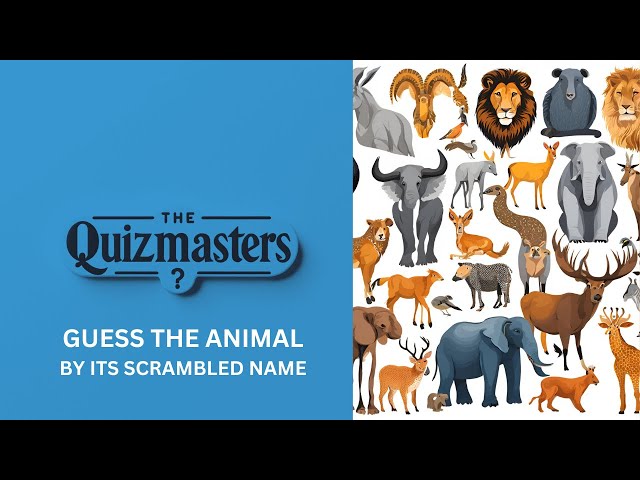 Can You Solve This Animal Scramble Quiz?