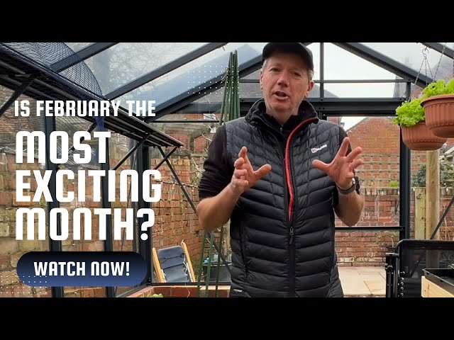 February sowing and growing guide ~ let’s get going!