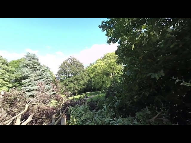 06 2019 Park Woluwe 25 only shake stabilisation