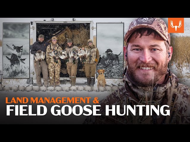 Goose Hunting with Flying V | Land Management and Field Hunting