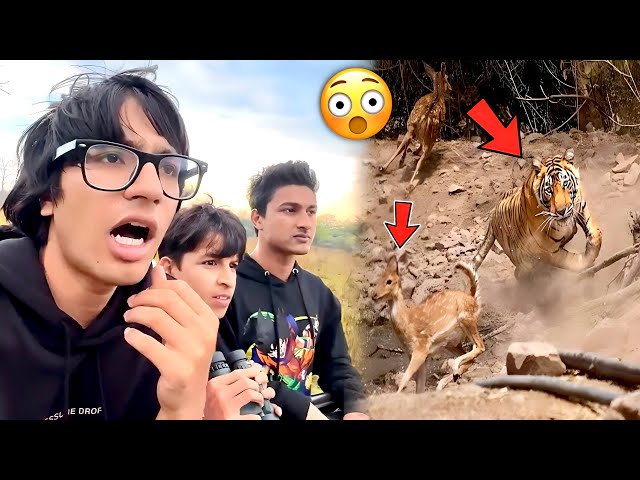 Tiger Ne Attack Kar Diya Deer Pe || Tiger Attack in Deer || Sourav Joshi Vlogs 😱