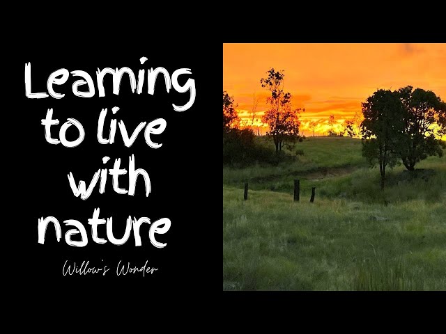 Off grid life - living with Mother Nature