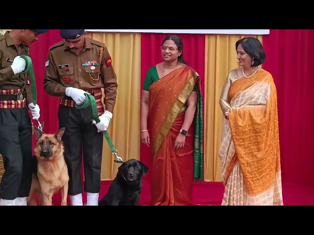 Retired Indian Army dogs, the silent warriors, start a new chapter of care and honor post-service.