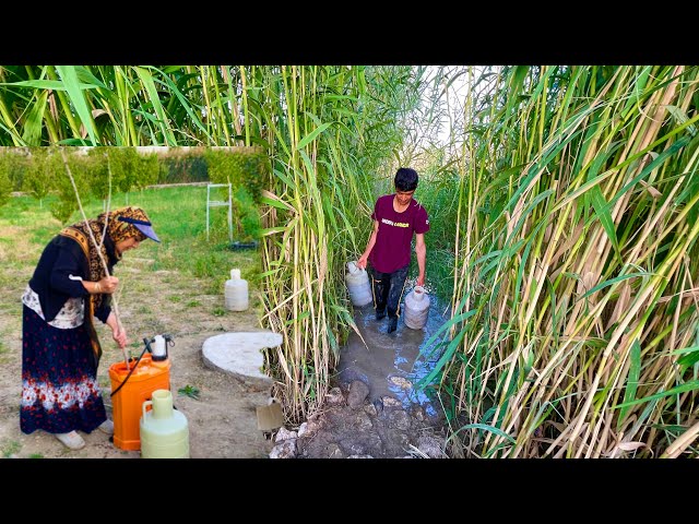 Sodabeh and Mobin in the Reed Beds: Drawing Water from the River and Caring for Crops 🌾💧