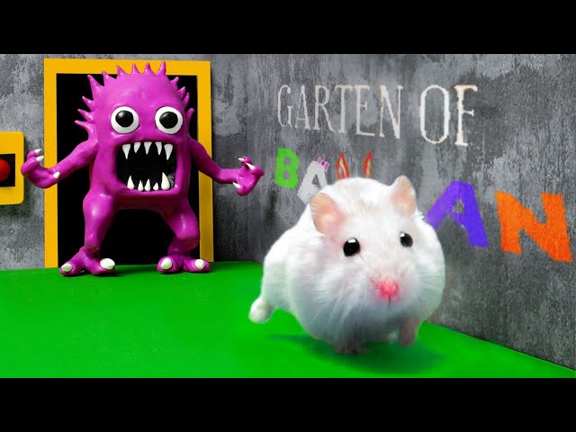 🐹Hamster Escape from Hunter Tim In Real Life | Hamster Challenges in Garten Banban