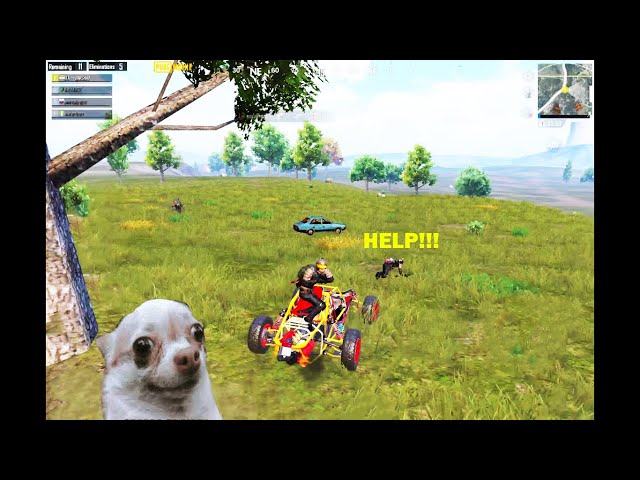 Best team work with Victor 😂 PUBG Mobile cute noobs