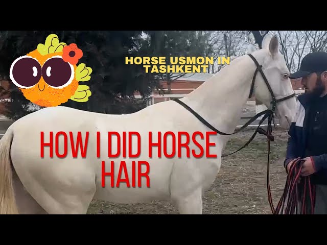 HOW I DID HORSE HAIR 🐴🤔  @FALCON_UZ