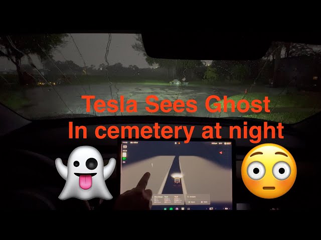 Tesla sees ghost in cemetery at night… what is this?