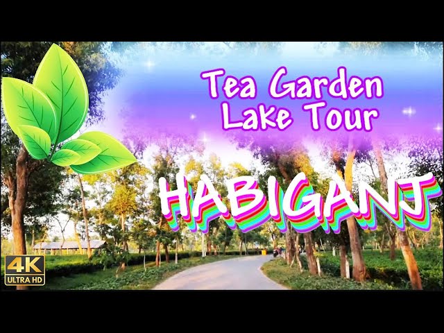 Habiganj | Tea Garden Lake Tour