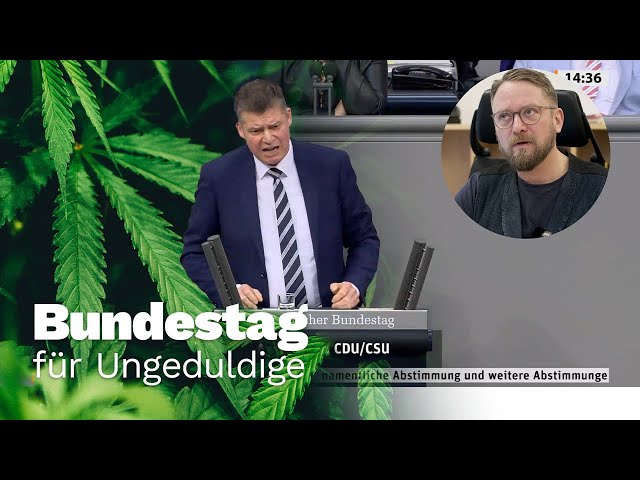 Bundestag für Ungeduldige: Cannabisgesetz