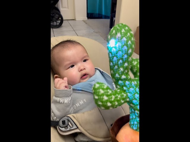 Surprised Baby Cries! (Baby Gets Scared by Dancing Cactus)