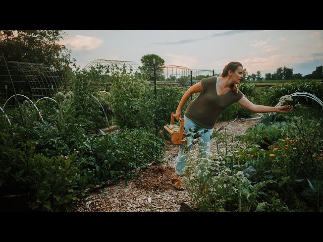 Day in the Life on Our Vegan Homestead