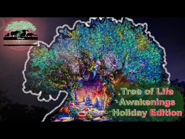 8K Tree of Life Awakenings - Holiday Edition at Disney's Animal Kingdom VR180 3D