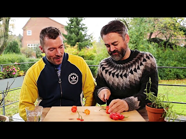 Chili Klaus vs. Thomas Hartmann - Klaus har mødt sin overmand.