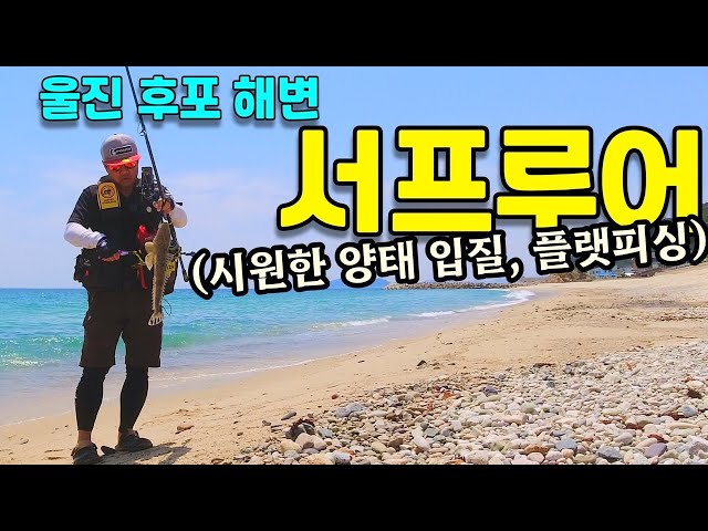 서프루어 / 후포항, 후포해변 플랫피싱 / 울진 양태 / 고등어 루어낚시 / surf lure fishing / Shimano Nessa / Majume Surf special