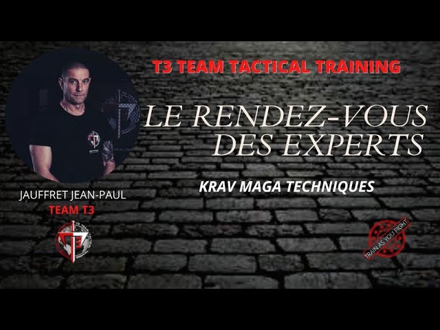 T3 - Experts' Meeting - Krav Maga - Interior defense against direct punch to the face