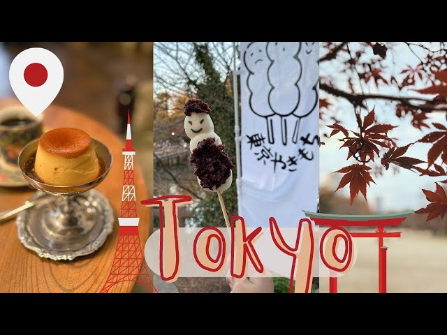 Travel Destinations in Tokyo | Vlog