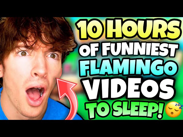 *10 HOURS* OF FLAMINGO TO FALL ASLEEP! (ROBLOX)