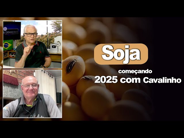 Soja começando 2025 com Cavalinho