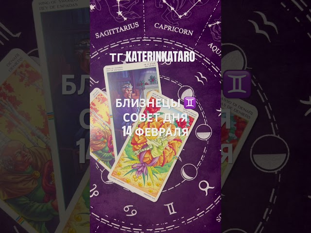 БЛИЗНЕЦЫ ♊️ СОВЕТ ДНЯ 14 ФЕВРАЛЯ#близнецы #гороскоп #таро #tarot #reels #100 #рек #shots #карты