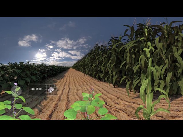 NEW Seed Applied Solutions 360 Video