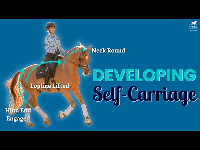 How to Develop Self-Carriage in Your Horse