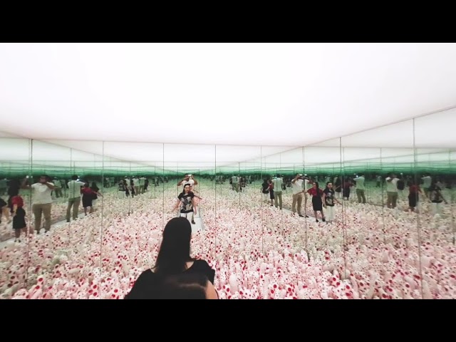 Infinity Mirrors : Phalli's Field