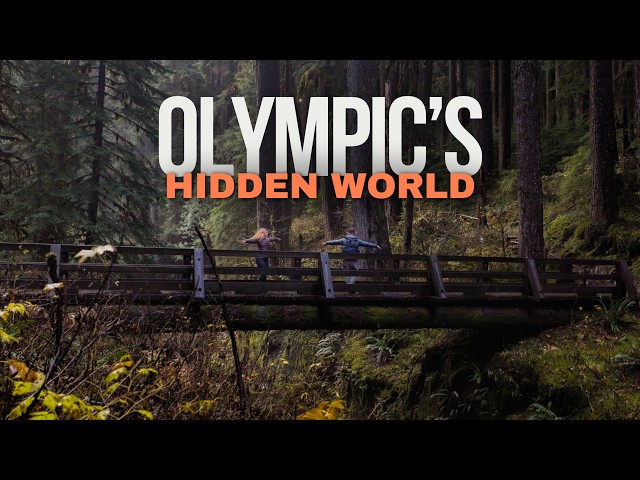 The Hidden World Inside Olympic National Park