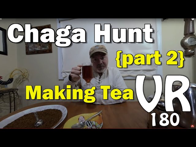 How to Grind and make Chaga Mushroom Tea  VR 180 Video part 2