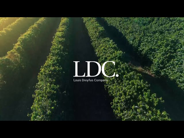 DBS Insights for Business Leaders – Food & Agribusiness ESG Series: Sustainable Supply Chain (LDC)