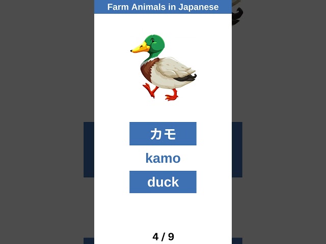 Farm Animals in JAPANESE Reading Challenge【ひらがな】#learnjapanese #jlpt #japanese