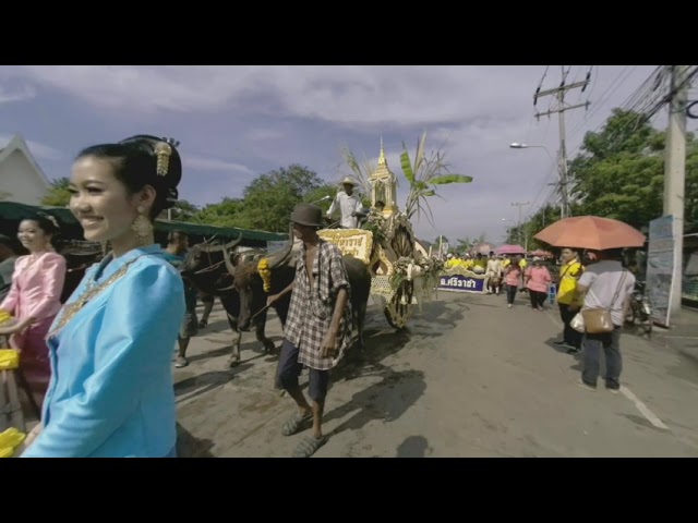 360Today-Al Caudullo at The Buffalo Races in Thailand