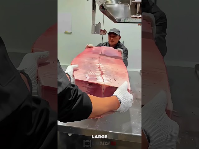 The process of cutting the biggest frozen fish- Satisfying jobs and machinery in the world