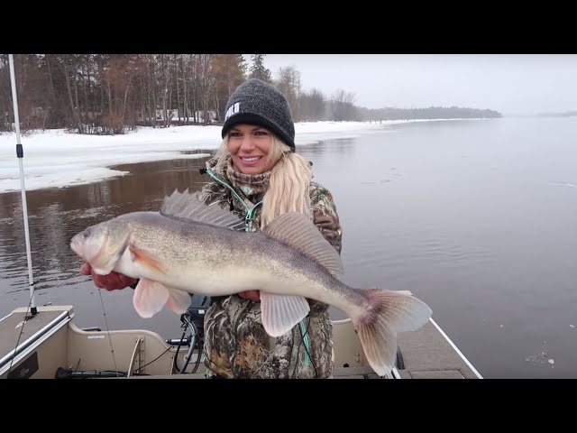 Chasing Giant RAINY RIVER Walleye