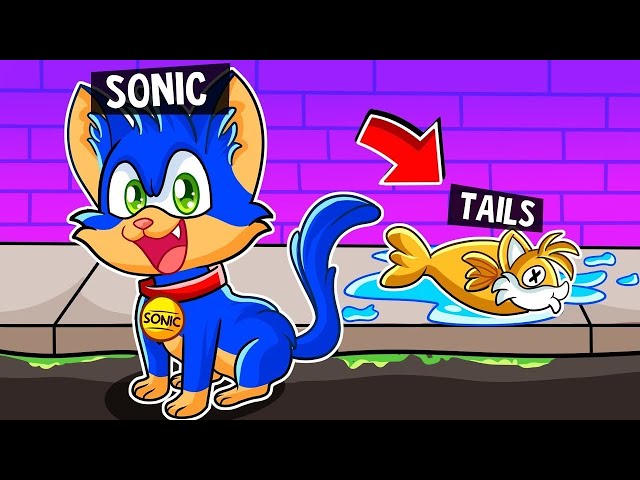 SONIC AND TAILS BECOME CATS in ROBLOX!