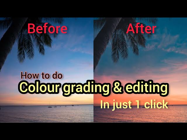 How to edit pictures & colour grades using Snapseed QR codes in just one click