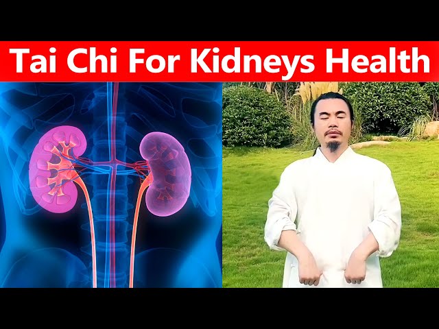 Tai Chi To Improve kidney Health and Prevent Diseases  |  Taichi Zidong