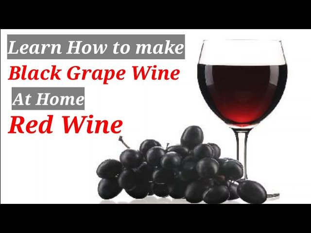 Black Grape Wine Making at Home/ Red Wine / काले अंगूर की वाइन कैसे बनाएं।