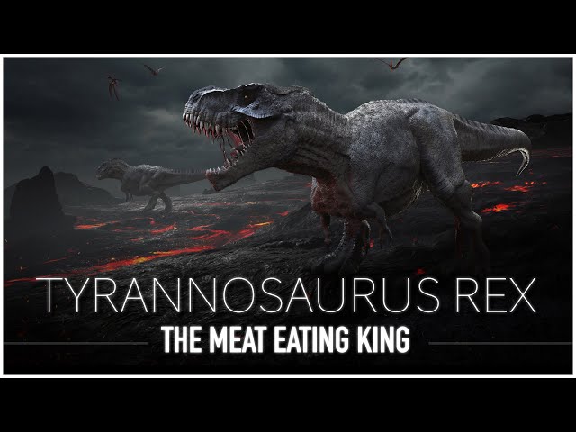 Tyrannosaurus Rex: The Scariest & Most Feared Dinosaur to Walk The Earth | Dinosaur Documentary