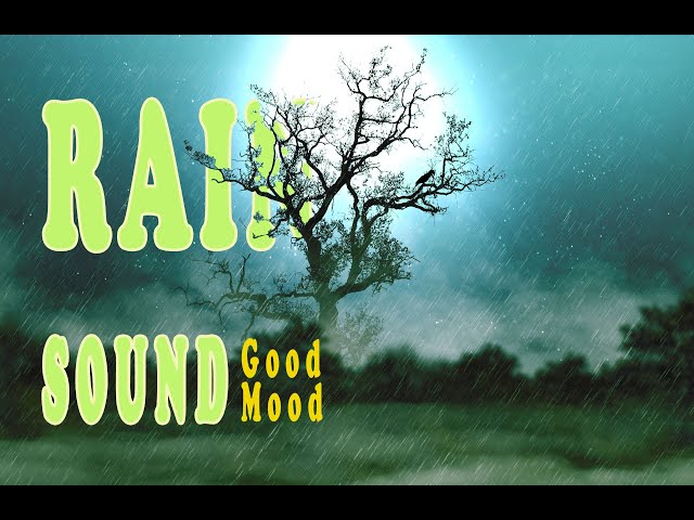 Rhythmic Rain Sound for Good Mood