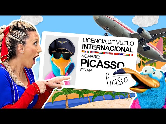 Solcito ☀️ y Picasso 🐦 - 🛩 Licencia de vuelo internacional 🛩