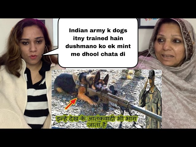 Indian army brave trained dogs who can do Everything 😲 || Pakistani Reaction