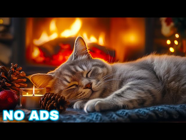 Calming Music for Cats with Cozy Ambience, Soothing Piano Stress Relief | Fireplace No Ads