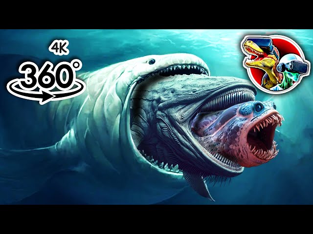 360 Bloop Eat Bloop Sea Monster Size Comparison | 360 video 4K