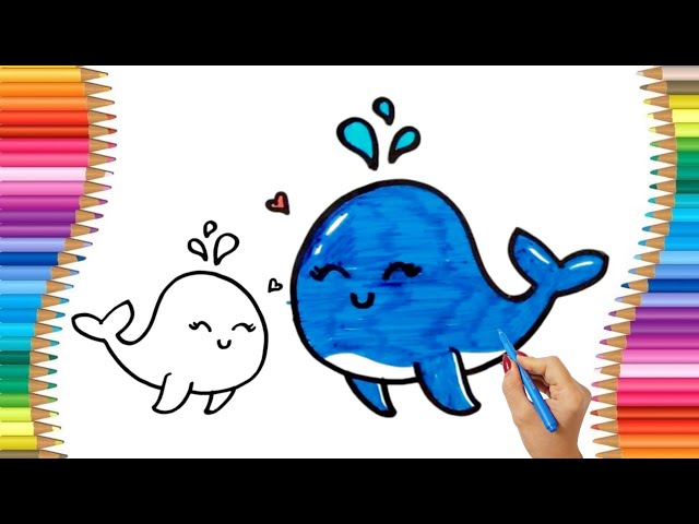 How to Draw A Cute Blue Whale Cartoon Easy | Drawing and Coloring for Kids and Toddlers Step by Step